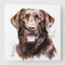 Recherche de chien labrador horloges Chocolat