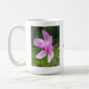 Suche nach weiße orchidee tassen Blume