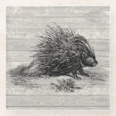 Recherche de porc épic Illustration