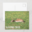 Suche nach winterschlaf postkarten Schlafend