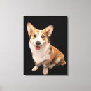 Suche nach corgi leinwandbilder Königin elizabeth's