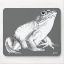 Recherche de frog tapis souris Amphibien