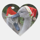 Suche nach cygnet aufkleber Weiß