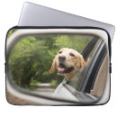 Suche nach labrador retriever laptop schutzhüllen Tier