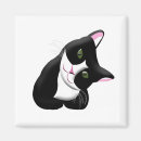 Recherche de tuxedo magnets Félin