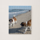 Recherche de st bernard puzzles Chien
