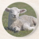 Suche nach lamm untersetzer Schaf