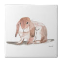 Recherche de lapin vintage carreaux Nature