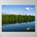 Suche nach flussufer poster Tropisch