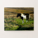 Suche nach pony puzzle Animal