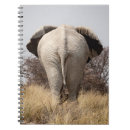 Recherche de vue arrière Éléphant