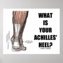 Suche nach achilles poster Medizin