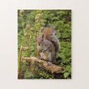 Recherche de écureuil puzzles Rongeur