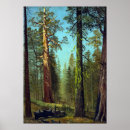 Suche nach mariposa poster Albert bierstadt