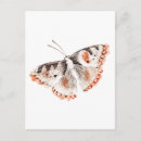 Suche nach vintager schmetterling postkarten Farbig