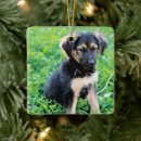 Recherche de german shepherd ornamente Dog