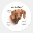 Recherche de noël teckel autocollants Amoureux des chiens