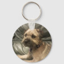 Suche nach grenzterrier Grenze