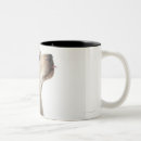 Recherche de curiosité tasses Chien