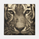 Suche nach sepia magnete Tier