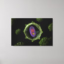 Suche nach biochemie leinwandbilder Wissenschaft