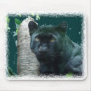 Recherche de chat panthère noire tapis souris Félin