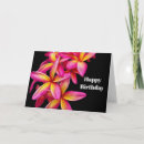 Suche nach plumeria karten Rosa