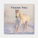 Suche nach pferd magnete Reiter