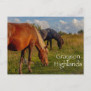 Recherche de highlands cartes postales Sauvage