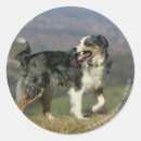 Recherche de pannes autocollants Bob et pam langrish