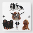 Recherche de cavalli horloges Pour tous