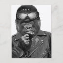 Suche nach gekleidete tiere poster Motorrad