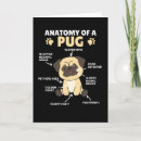 Suche nach anatomie karten Hunde