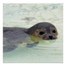 Recherche de joints de marine posters Mer