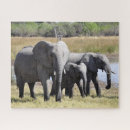 Suche nach afrikanischer elefant puzzle Familie