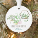 Suche nach pflanzen ornamente Verrückte pflanze