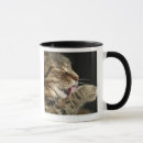 Suche nach tabbykatze tassen Tier