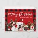 Recherche de joyeux du chien noël noël cartes Chiot