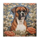 Recherche de boxer carreaux Animal
