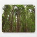 Recherche de monument national tapis souris Séquoias