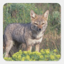 Suche nach südamerika aufkleber Chile