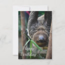 Suche nach slothe karten Zoo
