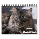 Suche nach waschbär kalender Katze