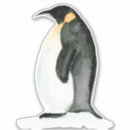 Recherche de amant de pingouin coques Animal