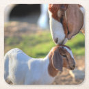 Suche nach tierkopf untersetzer Fokus auf vordergrund