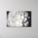 Suche nach camelia poster Blumenreich