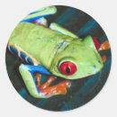 Recherche de crapaud autocollants Amphibie