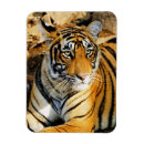 Recherche de espèce menacée magnets Asie