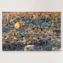 Recherche de citrouille puzzles Pays