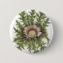 Recherche de collection badges Sauvage